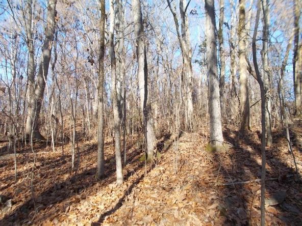 414 Doane Rd, New Market, TN 37820